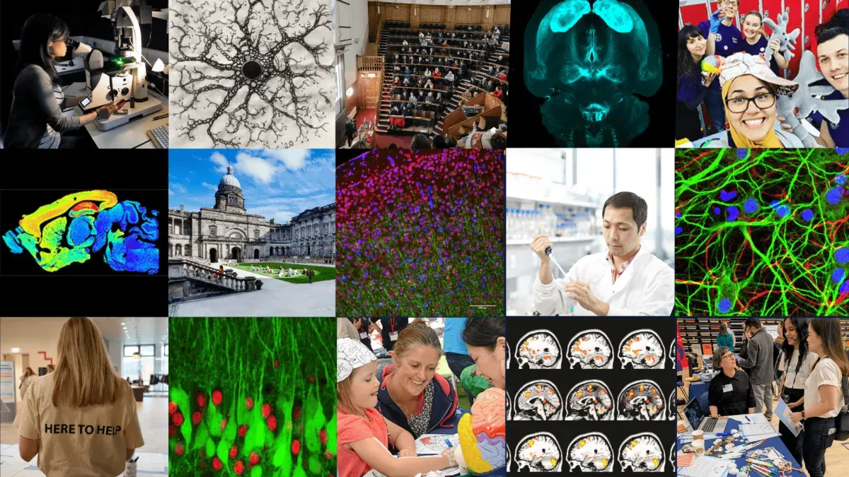 Collage of science images (cells) and people in labs