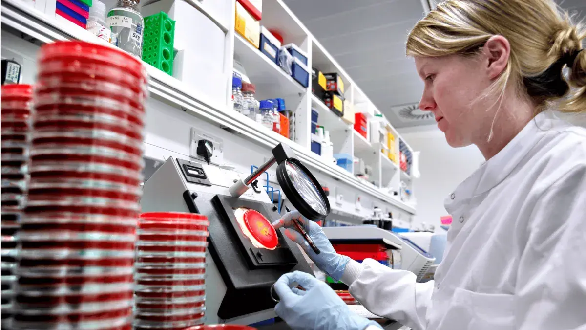 Student viewing samples with microscope 16:9