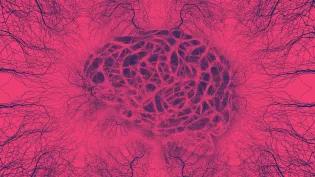 Fuschia and navt brain graphic with connections
