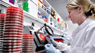 Student viewing samples with microscope 16:9