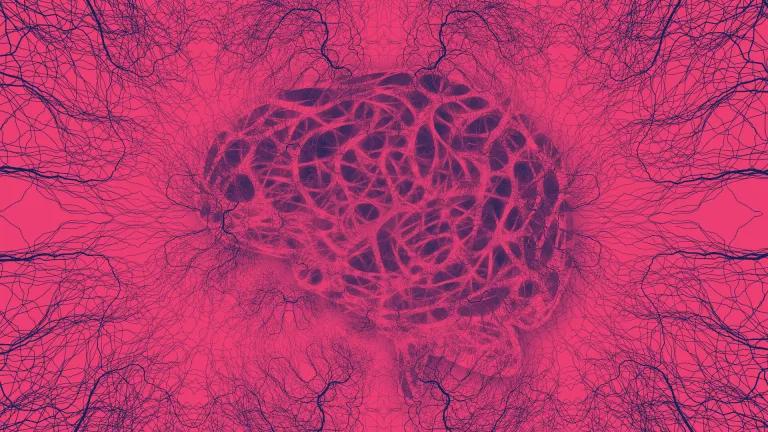 Fuschia and navt brain graphic with connections