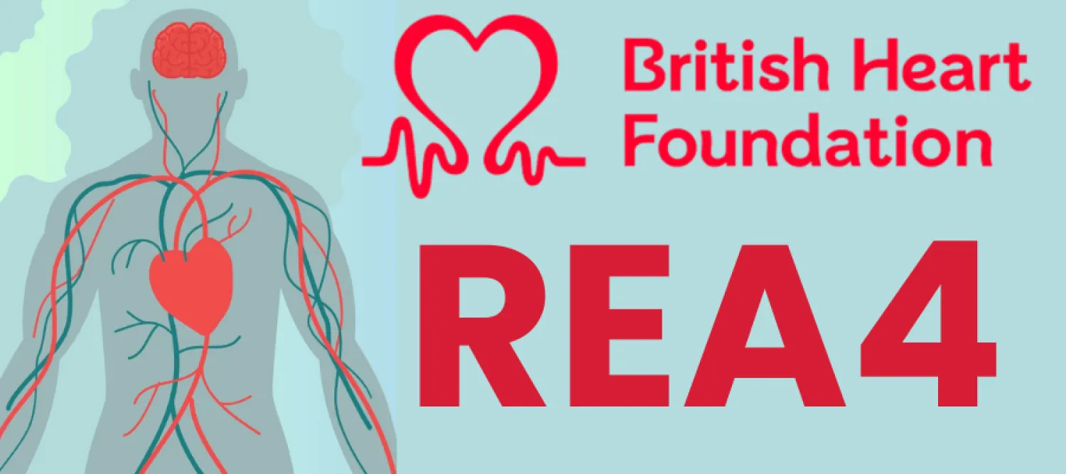 British heart foundation logo, fund name, graphic of man showing heart, vascular system and brain