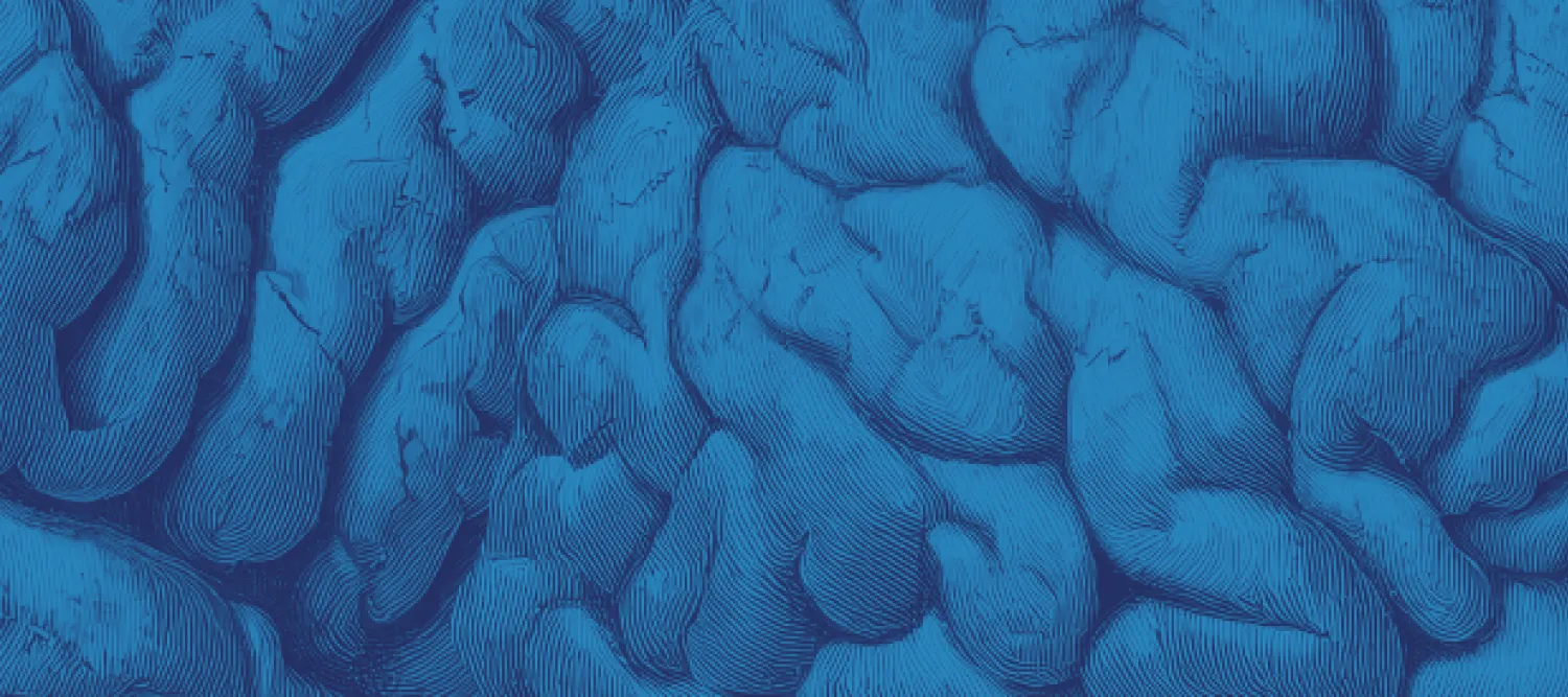 CLose up of braingraphoc