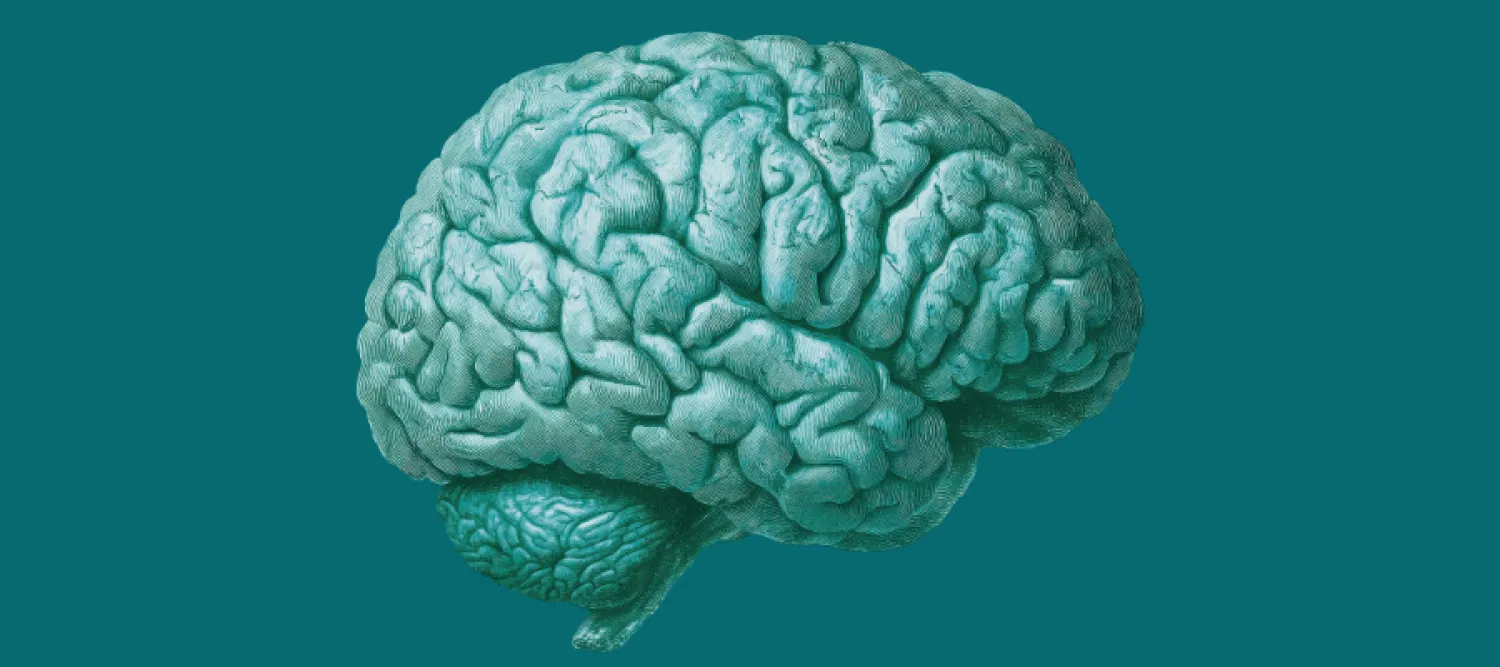 brain image teal colour on block teal background. Used when image is not available