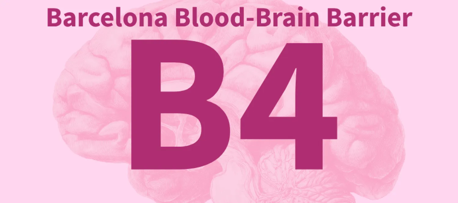 large B4 text, transparency image of brain on pink background