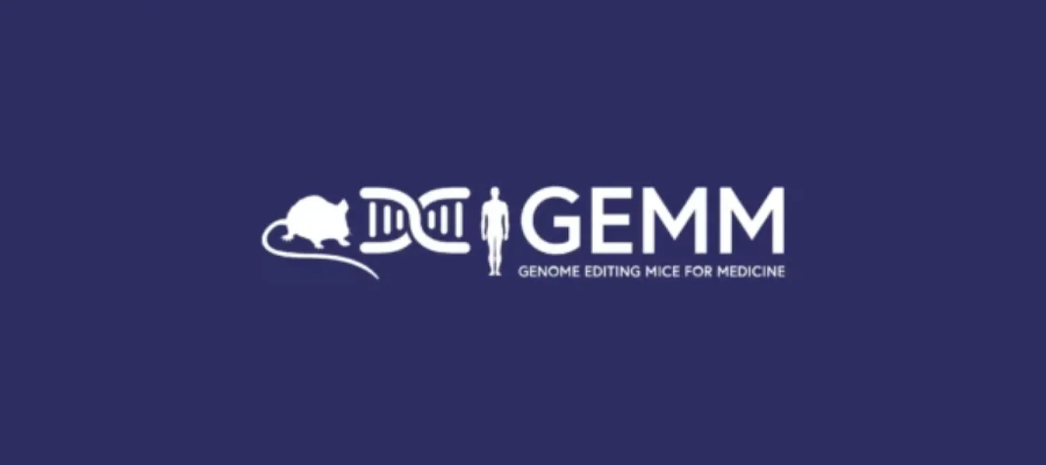 mouse, dna helix, man initials for GEMM