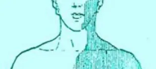 Animated picture of a man with a green body shaded one half and not in another