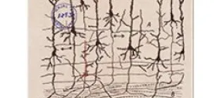 Lancet neurology cover 