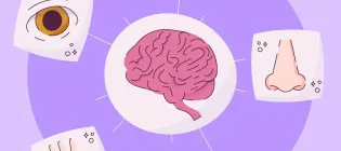 Blog post poster depicting eyes, hands, ears, nose, tongue and brain