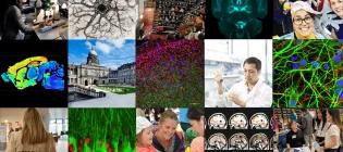 Collage of science images (cells) and people in labs
