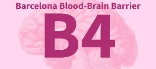 large B4 text, transparency image of brain on pink background
