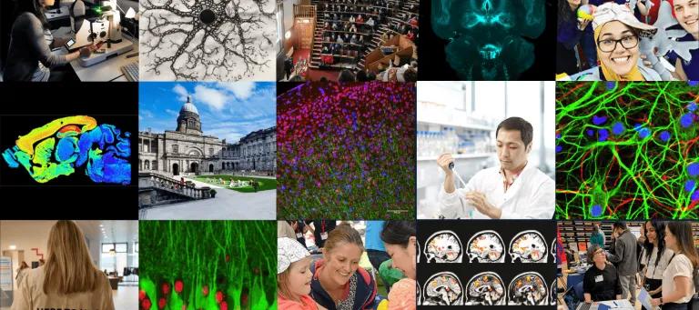 Collage of science images (cells) and people in labs