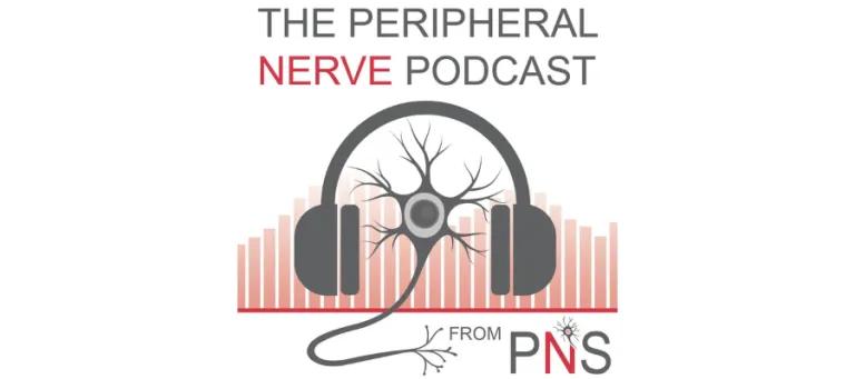 headphones, neuron, soundwaves grey and red tones
