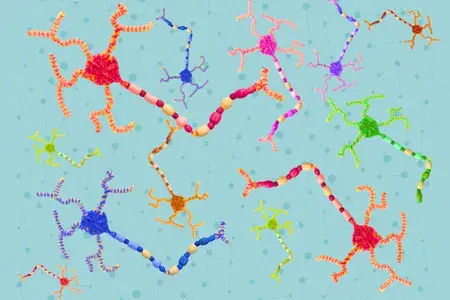 Neurons made from pipe cleaners and beads