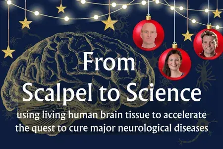 Christmas lecture poster crop with golden brain and red baubles