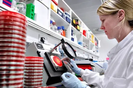 Student viewing samples with microscope 16:9