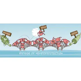 Bridge of Neuroprotection Animation