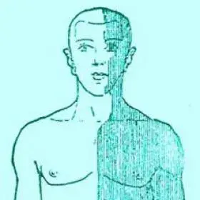 Animated picture of a man with a green body shaded one half and not in another