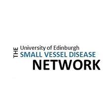 2021 SVD Network logo