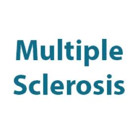 MS Logo