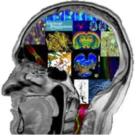 Neuroscience Day logo