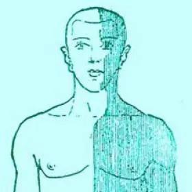 Animated picture of a man with a green body shaded one half and not in another