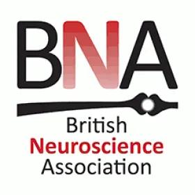British Neuroscience Association logo