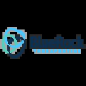 BlueRock Therapeutics logo