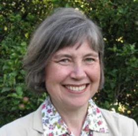 Professor Gillian Mead