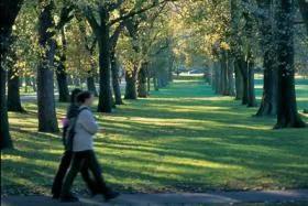 Students walking through the meadows