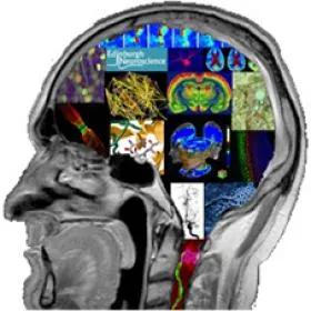 Neuroscience Day logo