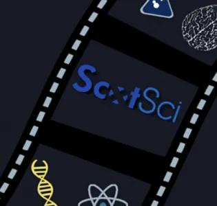 SciScreen: “Rien A Declarer” and Bilingualism