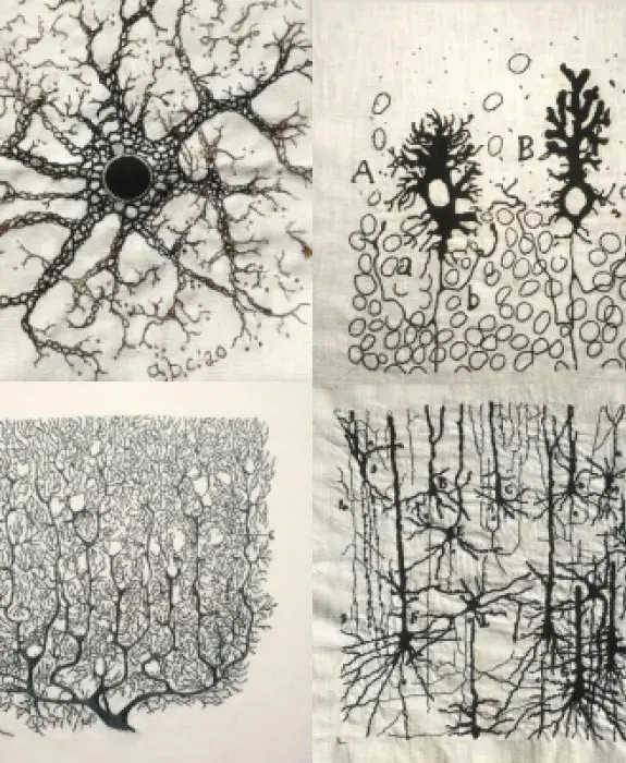 Cajal embroidery  x4